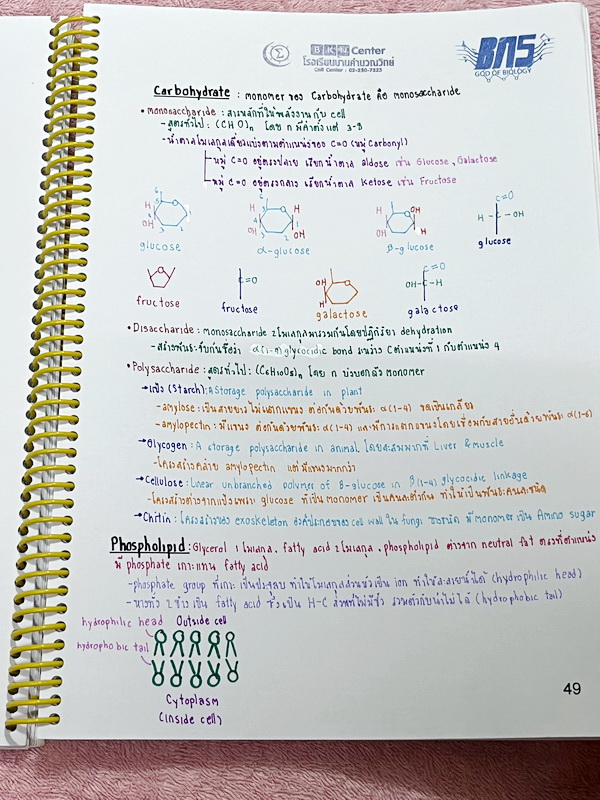 ►ครูบาส◄ หนังสือเรียนพิเศษ Basic Bio M.4 ในหนังสือมีสรุปเนื้อหาและตัวอย่างข้อสอบ จดครบเกือบทั้งเล่ม จดละเอียดด้วยปากกาสี ลายมือจดน้องผู้หญิงเป็นระเบียบเรียบร้อย ตั้งใจเรียน หนังสือพิมพ์สีสวยงามทั้งเล่ม หนังสือใส่ปกสันเกลียว เปิดอ่านง่าย