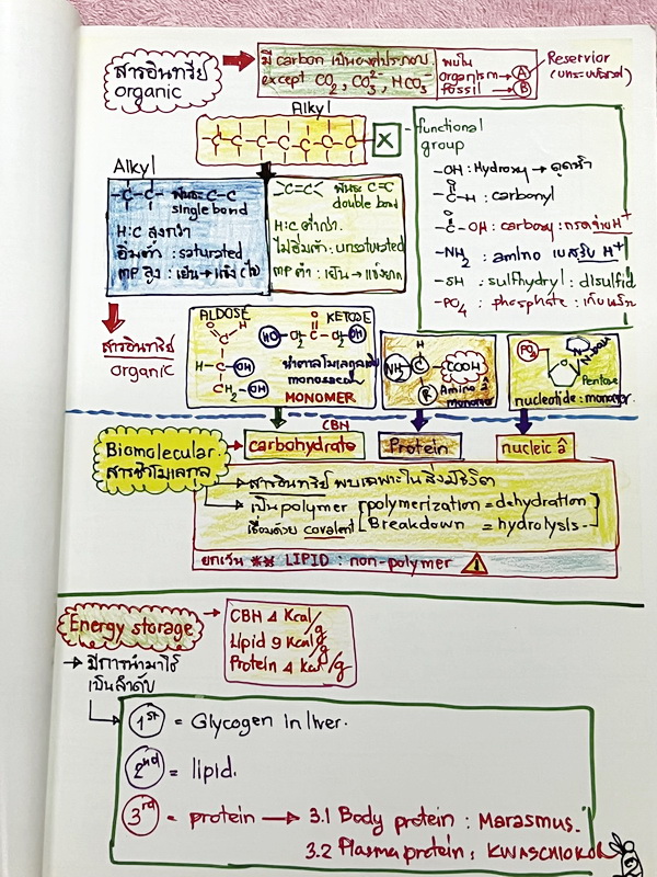 ►หมอพิชญ์ Biobeam◄ Art Beam Shortnote อาร์ทบีม หมอพิชญ์ไบโอบีม หนังสือสรุปเนื้อหาวิชาชีววิทยาทั้งหมดในระดับชั้น ม.ปลาย ทั้งเล่มเขียนด้วยลายมือของหมอพิชญ์ // อาจารย์ลงมือเขียนและวาดรูปเองทุกหน้า หนังสือมีสภาพยับเล็กน้อย หนังสือพิมพ์สีสวยงาม ใช้กระดาษอาร์ทม