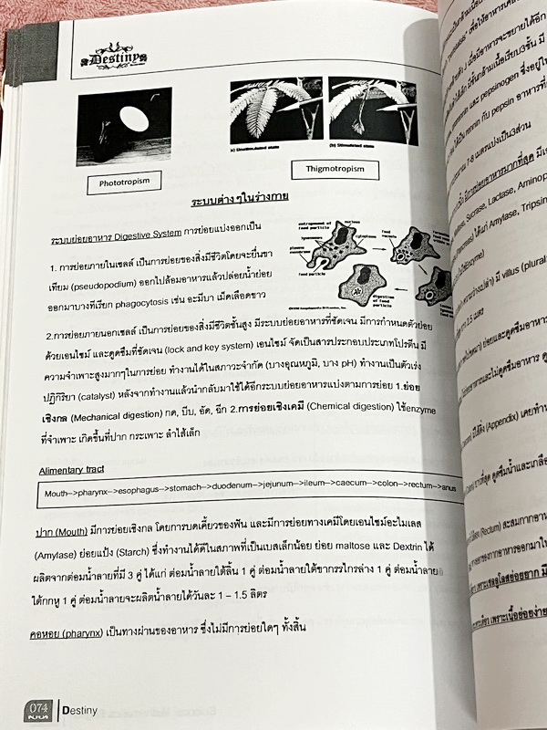 ►สอบเข้าเตรียมอุดม◄ Destiny หนังสือสรุปเนื้อหาวิชาวิทย์ คณิต อังกฤษ สำหรับเตรียมตัวสอบเข้าชั้น ม.4 สายวิทย์ ร.ร.เตรียมอุดมศึกษาและ ร.ร.ชั้นนำ จัดทำโดยรุ่นพี่ ร.ร.เตรียมอุดมศึกษา มีสรุปเนื้อหาวิชาวิทยาศาสตร์ คณิตศาสตร์ ภาษาอังกฤษในระดับชั้น ม.ต้น มีเน้นสูต