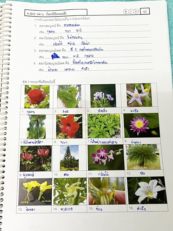 ►สสวท. ป.5◄ หนังสือเรียนพิเศษ อ.บิ๊ก ป.5 สสวท. เล่ม 1-4 มีสรุปเนื้อหาและโจทย์ Test ข้อสอบประจำบท จดครบเกือบทั้งเล่ม จดละเอียด มีบางหน้าเว้นว่างไปบ้างไม่ได้จด หนังสือใส่ปกสันเกลียว เปิดอ่านง่าย