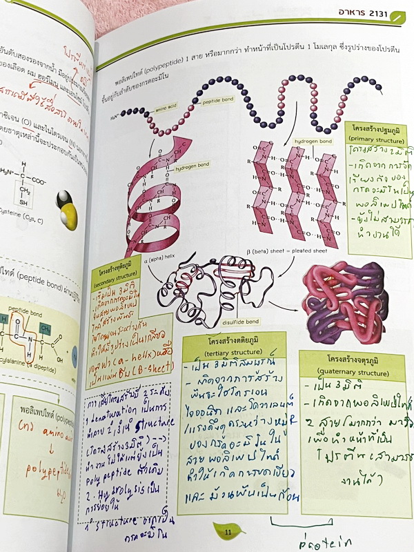 ►ออนดีมานด์◄ Set หนังสือเรียนพิเศษ + ไฟล์เฉลย วิชาวิทยาศาสตร์ ม.ต้น ชีววิทยาพี่วิเวียน เล่ม 1-8 ครบเซ็ท 8 เล่ม ครอบคลุมเนื้อหาตั้งแต่ระดับชั้นม.ต้น ม.1-2-3 เนื้อหายากลึกถึงสอบเข้า ม.4 โรงเรียนดัง จดบางหน้า จดละเอียด มีจดเทคนิคลัดการทำโจทย์ หนังสือพิมพ์สีใ