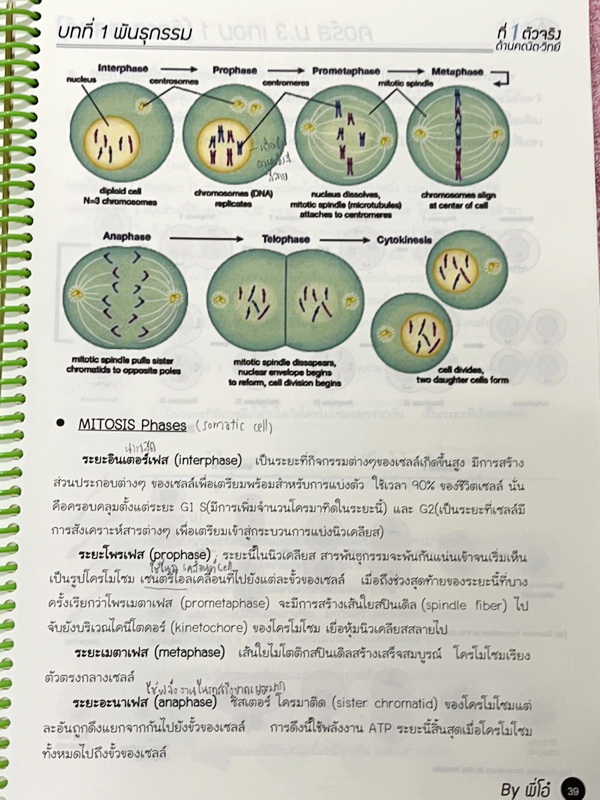 ►พี่โอ๋โอพลัส◄ หนังสือเรียนพิเศษ O-Plus 2 เล่ม วิชาวิทยาศาสตร์ระดับชั้น ม.3 ครบทั้งปี ม.3 เทอม 1 + ม.3 เทอม 2 มีสรุปเนื้อหาสำคัญ เนื้อหายากลึกถึงเตรียมตัวสอบเข้า ม.4 โรงเรียนดัง มีโจทย์แนวข้อสอบและแบบฝึกหัดประจำบท ด้านหลังมีเฉลยของอาจารย์ ในหนังสือมีจดบาง