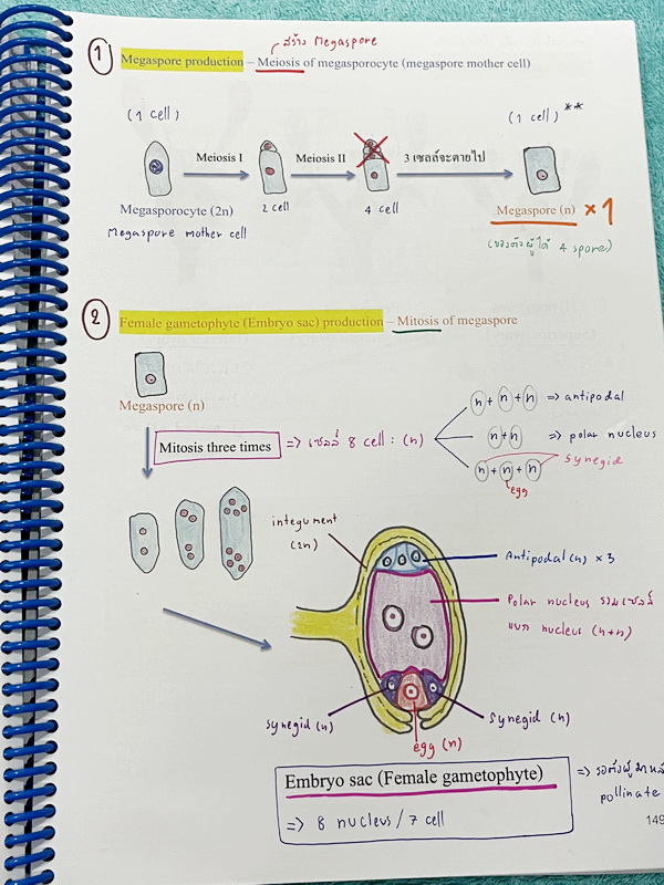 ►หมอพิชญ์ Biobeam◄ หนังสือเรียนวิชาชีววิทยาคอร์ส ICU ไอซียู ครบเซ็ท 8 เล่ม สรุปเนื้อหาระดับชั้น ม.ปลาย ทั้งหมด เนื้อหาครอบคลุมระดับชั้น ม.4-5-6 เพื่อเตรียมตัวสอบเข้ามหาวิทยาลัย สอบแพทย์ กสพท. มีโจทย์และโจทย์ข้อสอบจริงประจำบท ในหนังสือเล่ม 1-5 จดครบเกือบทั