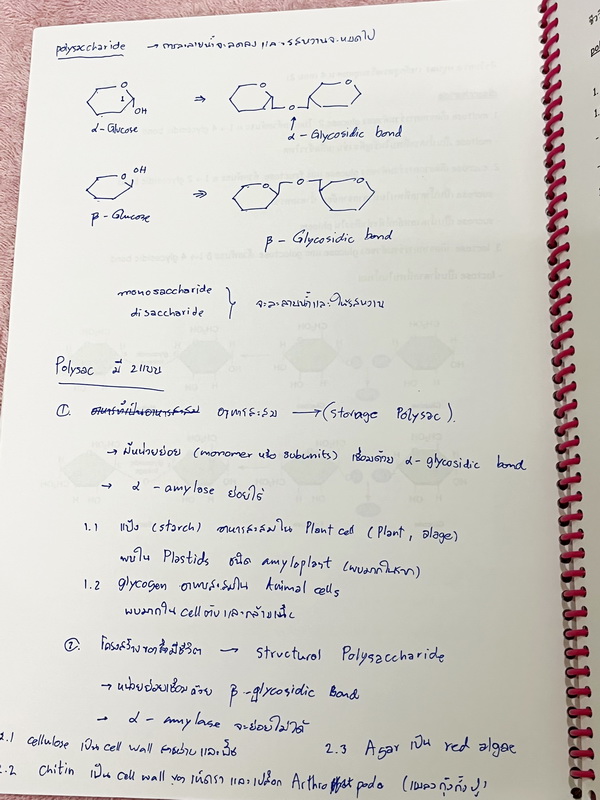 ►อ.หมูแดง◄ ชีววิทยาอาจารย์หมูแดง ชีววิทยา ม.4 เทอม 2 หลักสูตรเตรียมอุดม จดบางหน้า จดละเอียด เนื้อหาตีพิมพ์สมบูรณ์ทั้งเล่ม หนังสือใส่ปกสันเกลียว เปิดอ่านง่าย หนังสือเล่มหนาใหญ่