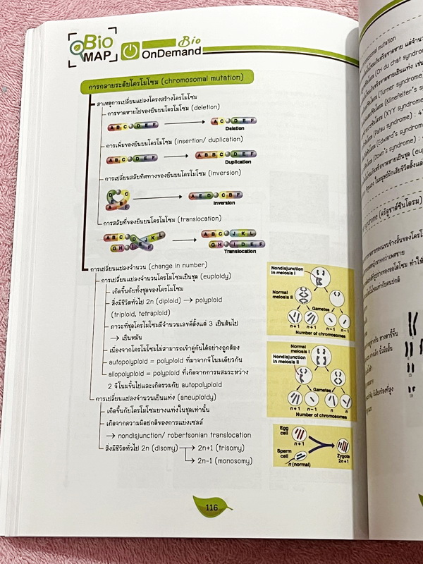 ►หนังสือสรุปชีววิทยา◄ ครบเซ็ท หนังสือกวดวิชา Ondemand ออนดีมานด์ พี่วิเวียน นพ.วีรวัช Biomap ชีววิทยาเล่ม 1+2 สรุปเนื้อหาวิชาชีววิทยาระดับชั้น ม.ปลายทั้งหมด ครอบคลุมเนื้อหาตั้งแต่ชั้น ม.4-5-6 เนื้อหาลึกถึงสอบเข้ามหาวิทยาลัยเนื้อหาตีพิมพ์สมบูรณ์ หนังสือพิม