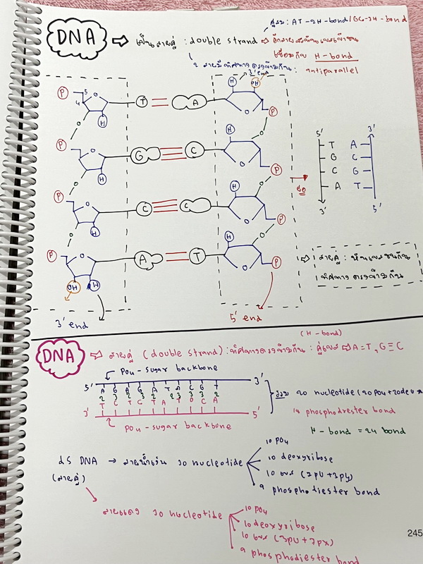 ►หมอพิชญ์ Biobeam◄ หนังสือเรียนชีววิทยา คอร์ส ICU ไอซียู ครบเซ็ท 8 เล่ม พร้อมไฟล์จดเนื้อหาครบทั้งเซ็ทแบบละเอียดมากครบทั้ง 8 เล่ม และไฟล์ชีทเสริม ในหนังสือเล่ม 1-3 มีจดบางหน้า จดละเอียด เล่ม 4-8 มีจดเล็กน้อย แบบฝึกหัดประจำบทมีจดเฉลยบางข้อ ส่วนข้อที่ไม่ได้จ