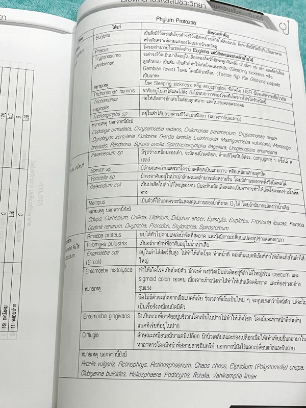 ►Biovinci◄ หนังสือกวดวิชา Biovinci ไขรหัสลับชีววิทยา มหกรรมปั้นหมอเรียลลิตี้ สรุปเนื้อหาวิชาชีววิทยาแบบย่นย่อ ให้เห็นภาพรวมแนวข้อสอบของแต่ละบททุกบท ในหนังสือมีเขียนเล็กน้อย