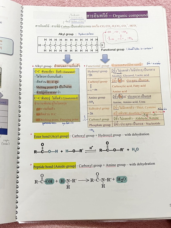►หมอพิชญ์ Biobeam◄ Set หนังสือคอร์ส Coma 2 เล่ม ประกอบด้วยเล่มสรุปเนื้อหาและเล่ม Quiz ตะลุยโจทย์ - เล่มสรุปเนื้อหา มีสรุปชีววิทยาระดับชั้น ม.ปลายทั้งหมด เพื่อเตรียมตัวสอบเข้ามหาวิทยาลัย เนื้อหาตีพิมพ์สมบูรณ์ทั้งเล่ม จดครบเกือบทั้งเล่ม จดละเอียด หนังสือพิม