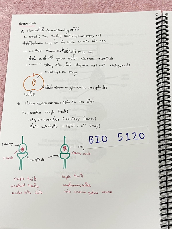 ►อ.หมูแดง◄ BIO 5120 หนังสือกวดวิชาชีววิทยา อ.หมูแดง ม.5 เทอม 2 หลักสูตรเตรียมอุดม จดครบเกือบทั้งเล่ม จดละเอียดมาก มีวาดภาพประกอบเนื้อหาหลายหน้า หนังสือพิมพ์สีสวยงาม หนังสือใส่ปกสันเกลียว เปิดอ่านง่าย