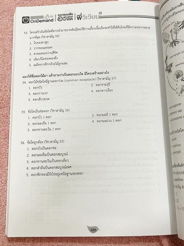 ►A-Level◄ หนังสือกวดวิชาออนดีมานด์ Upskill อัพสกิลชีววิทยา A-Level เล่ม 1-2 มีสรุปเนื้อหาสำคัญสั้นๆกระชับ เพื่อใช้เตรียมสอบ ม.ปลาย A-Level มีโจทย์เยอะมาก จดบางหน้า จดละเอียด ไม่มีเฉลย หนังสือเล่มใหญ่