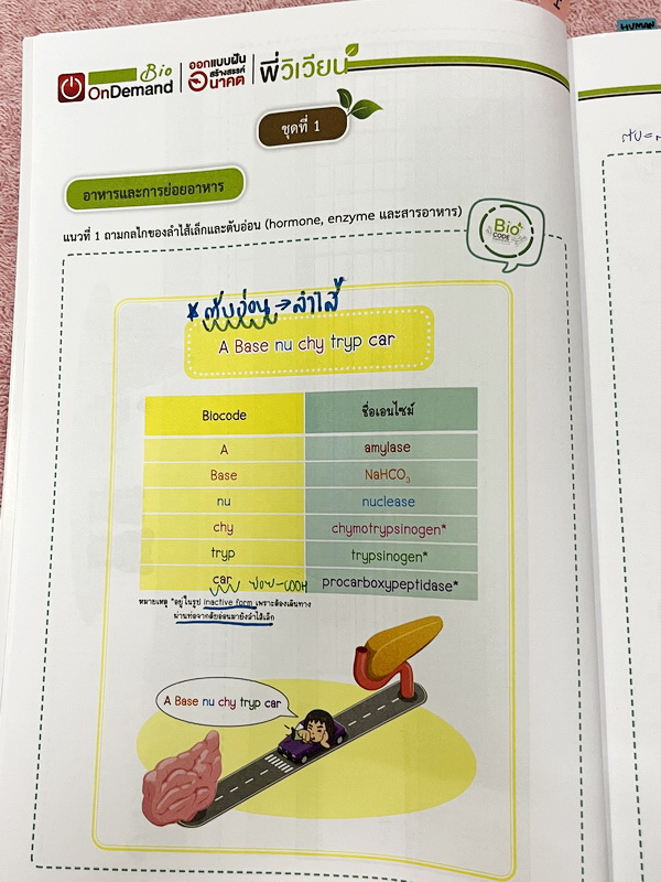 ►A-Level◄ หนังสือกวดวิชาออนดีมานด์ Upskill อัพสกิลชีววิทยา A-Level เล่ม 1-2 มีสรุปเนื้อหาสำคัญสั้นๆกระชับ เพื่อใช้เตรียมสอบ ม.ปลาย A-Level มีโจทย์เยอะมาก จดบางหน้า จดละเอียด ไม่มีเฉลย หนังสือเล่มใหญ่