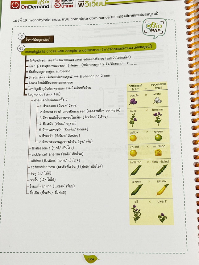 ►ชีววิทยา A-Level◄ หนังสือกวดวิชาออนดีมานด์ Upskill อัพสกิลชีววิทยา A-Level เล่ม 1-2 มีสรุปเนื้อหาสำคัญสั้นๆกระชับ เพื่อใช้เตรียมสอบ ม.ปลาย A-Level มีโจทย์เยอะมาก จดครบเกือบทั้งเล่ม จดละเอียด มีจดเน้นจุดที่ออกสอบบ่อยๆ หนังสือเล่มใหญ่ หนังสือใส่ปกสันเกลียว