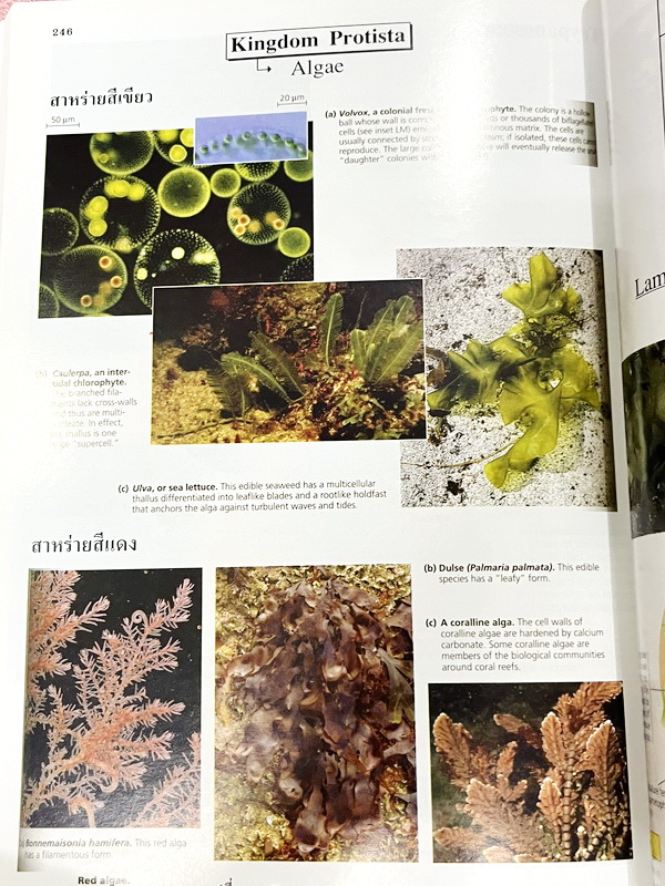 ►Eureka◄ หนังสือกวดวิชาชีววิทยา ม.ปลาย อ.เอกฤทธิ์ ยูเรก้า + สมุดโน้ตในคอร์สเรียน 1 เล่ม ในหนังสือเน้นภาพสี กราฟ ตาราง และแผนภาพเกี่ยวกับวิชาชีววิทยาในระดับชั้น ม.ปลายรวมทุกบท ส่วนใหญ่ใช้ภาษาอังกฤษ และภาษาละตินประกอบคำอธิบาย หนังสือเล่มหนาใหญ่ มีน้ำหนัก พิ