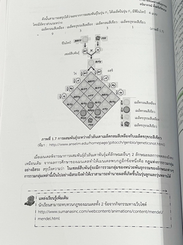 ►หนังสือเรียนโรงเรียนเตรียมอุดม◄ เอกสารประกอบการเรียนรายวิชาวิทยาศาสตร์ ชีววิทยา6 ระดับชั้น ม.6 จัดทำโดยกลุ่มสาระการเรียนรู้วิทยาศาสตร์ มีสรุปเนื้อหาและโจทย์แบบทดสอบ โจทย์เข้มข้น จดบางหน้า ไม่มีเฉลย หนังสือเล่มหนาใหญ่