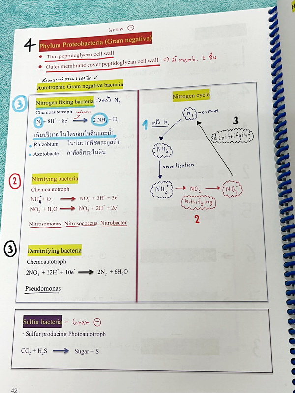 ►หมอพิชญ์ Biobeam◄ หนังสือเรียนวิชาชีววิทยาคอร์ส ICU ไอซียู ครบเซ็ท 8 เล่ม สรุปเนื้อหาระดับชั้น ม.ปลาย ทั้งหมด เนื้อหาครอบคลุมระดับชั้น ม.4-5-6 เพื่อเตรียมตัวสอบเข้ามหาวิทยาลัย สอบแพทย์ กสพท. มีโจทย์และโจทย์ข้อสอบจริงประจำบท ในหนังสือเล่ม 1-5 จดครบเกือบทั