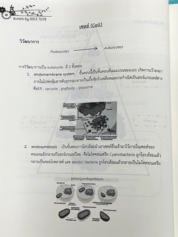 ►หนังสือรุ่นพี่เตรียมอุดม◄ Aurora หนังสือสรุปวิทยาศาสตร์ ม.ต้น เพื่อใช้สอบเข้า ม.4 ร.ร.ชั้นนำทั่วประเทศ สรุปเนื้อหาวิทย์ครบทุกวิชาชีวะ ฟิสิกส์ เคมี วิทย์กายภาพ มี GS Point เทคนิคการจำลัดสอดแทรกตามหน้าต่างๆ มีข้อสอบทบทวนทุกวิชา พร้อมเฉลย+เฉลยละเอียด ในหนัง