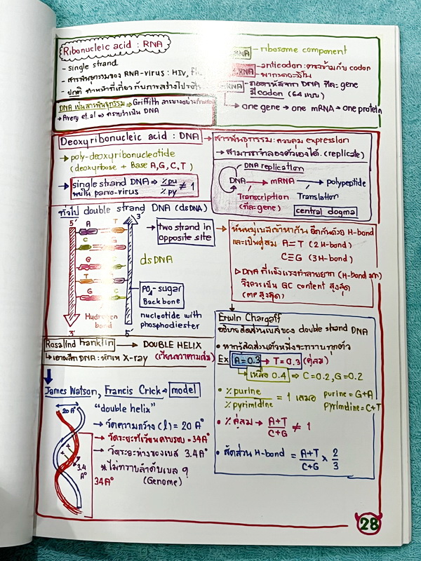 ►หมอพิชญ์ Biobeam◄ Art Beam Shortnote อาร์ทบีม หมอพิชญ์ไบโอบีม สรุปเนื้อหาวิชาชีววิทยาทั้งหมดด้วยลายมือของหมอพิชญ์เอง อาจารย์ลงมือเขียนและวาดรูปเองทุกหน้า พิมพ์สีสวยงาม กระดาษอาร์ทมันอย่างดีทั้งเล่ม *หน้าปกหนังสือมีรอยยับ *