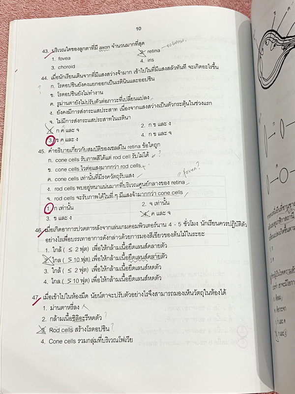 ►หนังสือเรียนโรงเรียนเตรียมอุดม◄ เอกสารประกอบการเรียนโจทย์เสริมทักษะวิชาชีววิทยา ม.6 ตะลุยโจทย์ทั้งเล่ม จัดทำโดยกลุ่มสาระการเรียนรู้วิทยาศาสตร์ มีโจทย์เข้มข้น จดบางหน้า ไม่มีเฉลย