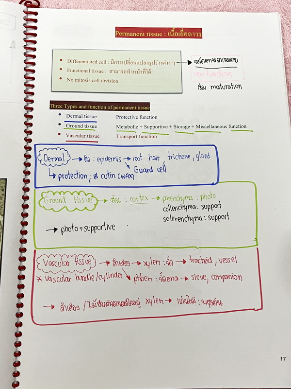 ►หมอพิชญ์ Biobeam◄ หนังสือเรียนชีววิทยา คอร์ส ICU ไอซียู ครบเซ็ท 8 เล่ม พร้อมไฟล์จดเนื้อหาครบทั้งเซ็ทแบบละเอียดมากครบทั้ง 8 เล่ม และไฟล์ชีทเสริม ในหนังสือเล่ม 1-6 จดครบเกือบทั้งเล่ม จดละเอียด มีวาดภาพประกอบเนื้อหาเยอะมาก , เล่ม 7-8 มีจดเล็กน้อย แบบฝึกหัดป