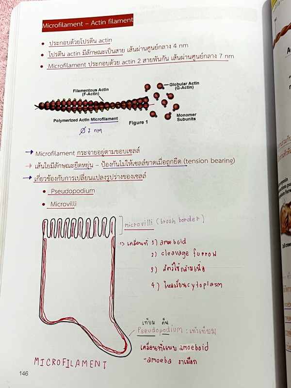 ►หมอพิชญ์ Biobeam◄ หนังสือกวดวิชาปี 2566 หมอพิชญ์ไบโอบีม ICU ไอซียู ครบเซ็ท 8 เล่ม สรุปเนื้อหาทั้งหมดในระดับชั้น ม.ปลาย ม.4-5-6 เนื้อหายากลึกถึงเตรียมตัวสอบเข้ามหาวิทยาลัย สอบแพทย์ TPAT 1 มีโจทย์ประจำบท ในหนังสือจดครบเกือบทั้งเล่ม จดละเอียด โจทย์มีจดเฉลยค