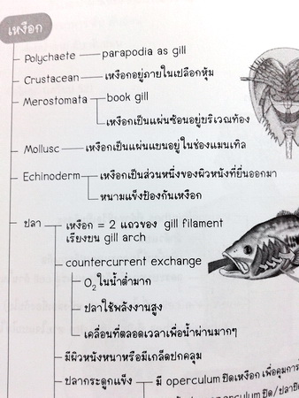 หนังสือเรียนพิเศษ Ondemand พี่วิเวียน ติวเข้มชีววิทยาเข้าเตรียมอุดม