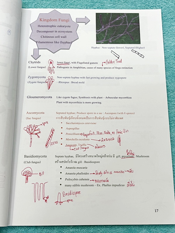 ►หนังสือเรียนชีวะ ม.ต้น◄ หนังสือกวดวิชาหมอพิชญ์ไบโอบีม Fundamental Coma สรุปเนื้อหาของชีวะ ม.ต้นแบบกระชับสั้นๆทั้งหมดในเล่มเดียว เนื้อหายากลึกถึงเตรียมตัวสอบเข้า ม.4 โรงเรียนดัง จดครบเกือบทั้งเล่ม จดละเอียด หนังสือพิมพ์สีสวยงามเกือบทั้งเล่ม