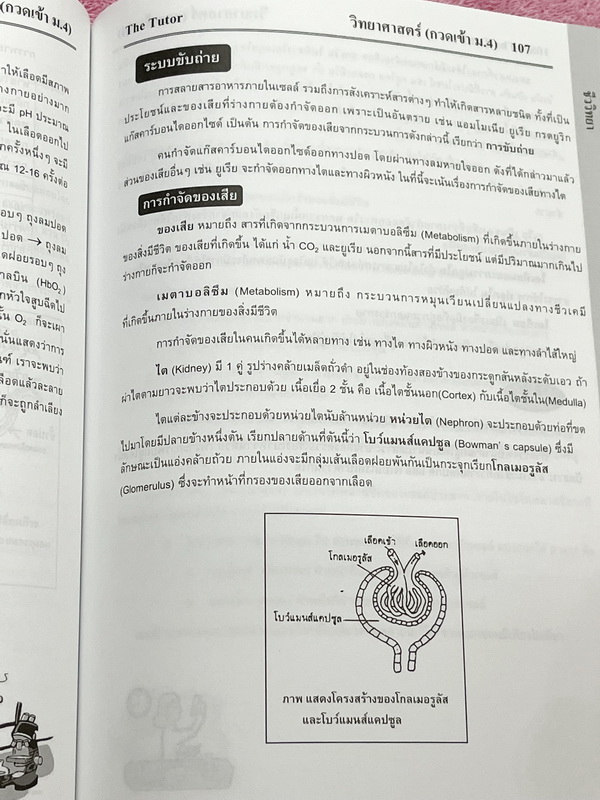 ►หนังสือสรุป ม.ต้น◄ The Tutor หนังสือกวดวิชาสรุปเนื้อหาวิชาวิทยาศาสตร์ เตรียมตัวสอบเข้า ม.4 ร.ร.ดัง เนื้อหาครอบคลุมระดับชั้น ม.1-2-3 ทั้งหมด เนื้อหาตีพิมพ์สมบูรณ์ทั้งเล่ม มีข้อควรรู้ที่ควรจำให้ได้ก่อนเข้าห้องสอบ หนังสือใหม่เอี่ยม ไม่มีรอยขีดเขียน
