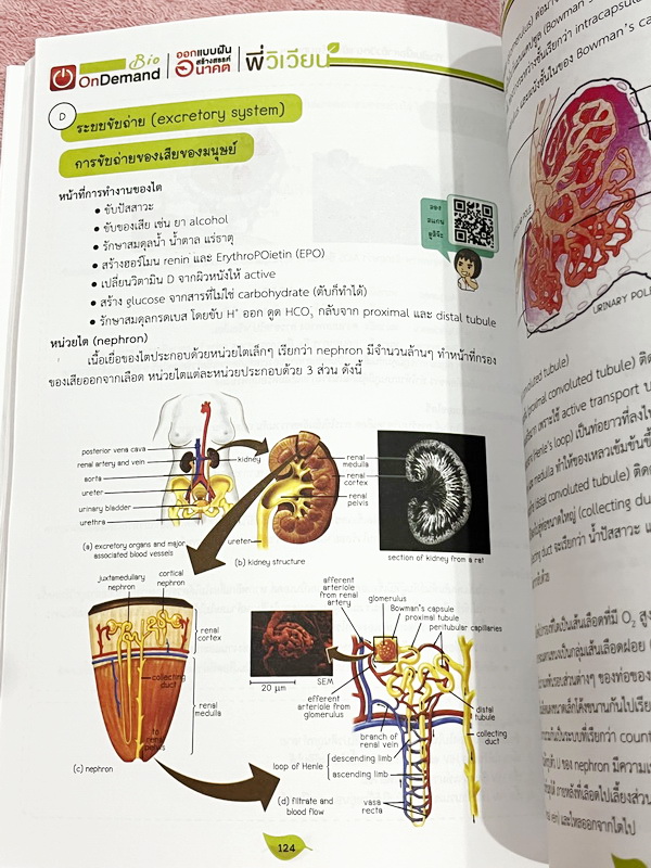 ►สอบเข้ากำเนิดวิทย์,มหิดล,โรงเรียนแข่งขันสูง◄ หนังสือกวดวิชาออนดีมานด์ พี่วิเวียน ติวเข้มเนื้อหาชีววิทยา สอบเข้า มหิดล กำเนิดวิทย์ และโรงเรียนแข่งขันสูง มีสรุปเนื้อหาและโจทย์แบบฝึกหัดประจำบท เนื้อหาตีพิมพ์สมบูรณ์ โจทย์มีความยากระดับ Advanced เหมาะสำหรับเด