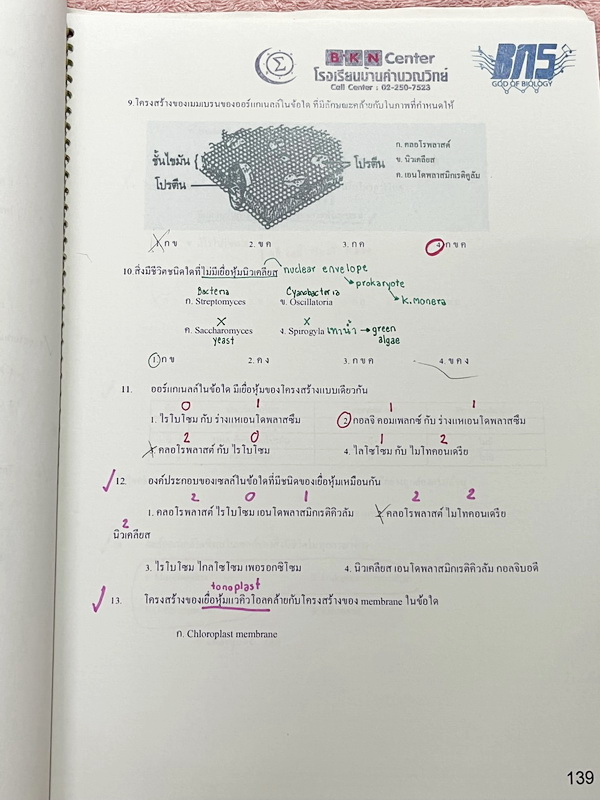 ►ครูบาส◄ หนังสือเรียนพิเศษ Basic Bio M.4 ในหนังสือมีสรุปเนื้อหาและตัวอย่างข้อสอบ จดครบเกือบทั้งเล่ม จดละเอียดด้วยปากกาสี ลายมือจดน้องผู้หญิงเป็นระเบียบเรียบร้อย ตั้งใจเรียน หนังสือพิมพ์สีสวยงามทั้งเล่ม หนังสือใส่ปกสันเกลียว เปิดอ่านง่าย