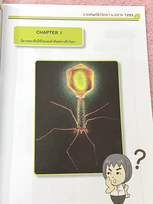 ►ออนดีมานด์◄ พี่วิเวียน หนังสือกวดวิชาคอร์สรากศัพท์ชีววิทยา ม.ปลาย ในหนังสือมีสรุปเนื้อหาสมบูรณ์ มีแยกหมวดคำศัพท์ทางชีววิทยาแบ่งออกเป็น Prefix , Suffix และ Root แบบฝึกหัดไม่มีจด และไม่มีเฉลย มี Update ข้อสอบด้านหลัง หนังสือพิมพ์สีทั้งเล่ม หนังสือหนาเพียงแ