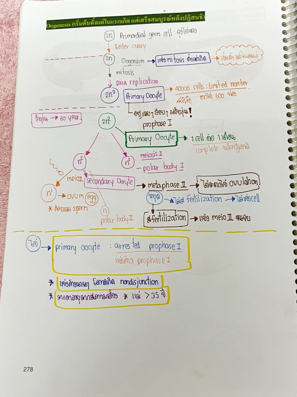 ►หมอพิชญ์ Biobeam◄ หนังสือเรียนชีววิทยา คอร์ส ICU ไอซียู ครบเซ็ท 8 เล่ม พร้อมไฟล์จดเนื้อหาครบทั้งเซ็ทแบบละเอียดมากครบทั้ง 8 เล่ม และไฟล์ชีทเสริม ในหนังสือเล่ม 1-6 จดครบเกือบทั้งเล่ม จดละเอียด มีวาดภาพประกอบเนื้อหาเยอะมาก , เล่ม 7-8 มีจดเล็กน้อย แบบฝึกหัดป