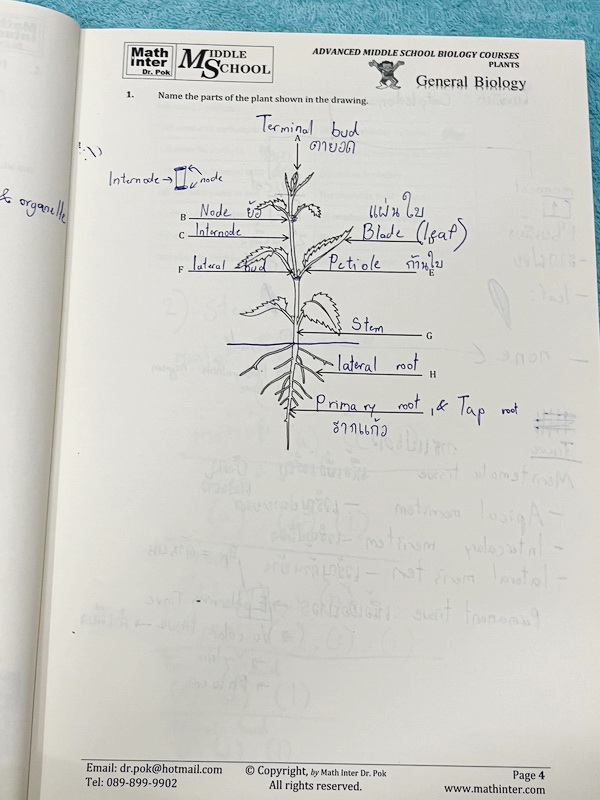 ►สอบ สอวน. ,สอบแข่งขันขึ้น ม.4◄ หนังสือเรียน Dr.POK ชีววิทยาสอบ สอวน. สอบแข่งขันขึ้น ม.4 สอบ SAT2 เรื่องพืช มีสรุปเนื้อหา และโจทย์ระดับยาก Advanced ทั้งเนื้อหาและโจทย์ในหนังสือมีทั้งภาษาไทย + ภาษาอังกฤษ เหมาะสำหรับเด็กที่มีพื้นฐานสูง เนื้อหาตีพิมพ์สมบูรณ์