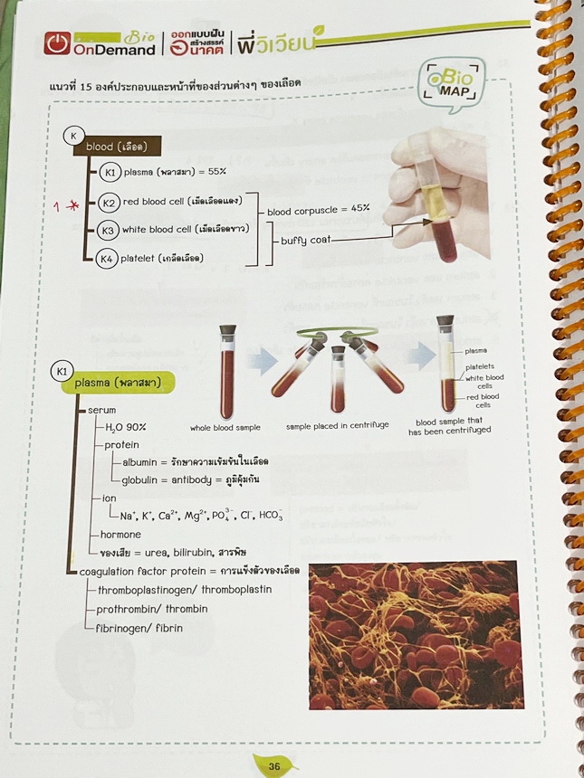 ►ชีววิทยา A-Level◄ หนังสือกวดวิชาออนดีมานด์ Upskill อัพสกิลชีววิทยา A-Level เล่ม 1-2 มีสรุปเนื้อหาสำคัญสั้นๆกระชับ เพื่อใช้เตรียมสอบ ม.ปลาย A-Level มีโจทย์เยอะมาก จดครบเกือบทั้งเล่ม จดละเอียด มีจดเน้นจุดที่ออกสอบบ่อยๆ หนังสือเล่มใหญ่ หนังสือใส่ปกสันเกลียว