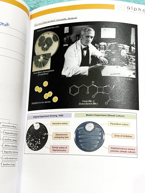 ►Alpha Classroom◄ หนังสือกวดวิชาชีววิทยา ม.4 มีสรุปเนื้อหา โจทย์ประจำบท และเฉลยท้ายบทครบทุกบท อาจารย์รวบรวมโจทย์จากหลายแหล่งที่มา เช่นโจทย์ข้อสอบเข้ามหาวิทยาลัย ข้อสอบแบบเรียนกระทรวงศึกษาธิการ ในหนังสือจดบางหน้า จดละเอียด