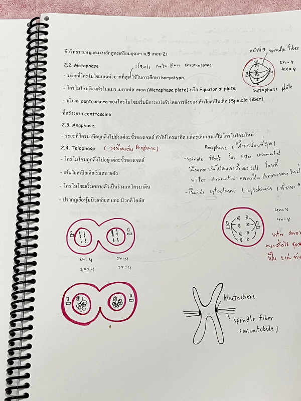 ►อ.หมูแดง◄ BIO 5120 หนังสือกวดวิชาชีววิทยา อ.หมูแดง ม.5 เทอม 2 หลักสูตรเตรียมอุดม จดครบเกือบทั้งเล่ม จดละเอียดมาก มีวาดภาพประกอบเนื้อหาหลายหน้า หนังสือพิมพ์สีสวยงาม หนังสือใส่ปกสันเกลียว เปิดอ่านง่าย