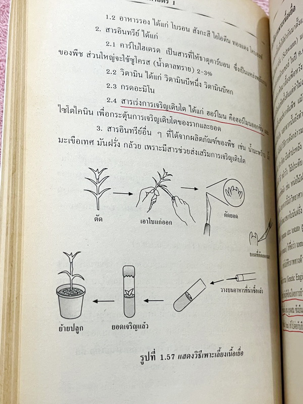 ►วิทยาศาสตร์ ม.ต้น◄ อ.สมพงศ์ วิทยาศาสตร์ ม.1-3 เล่ม 1-6 สรุปเนื้อหาอย่างละเอียดครบถ้วน มีแบบทดสอบ เฉลยละเอียดครบทุกข้อ หนังสือมีเขียนบางหน้า กระดาษเหลืองเก่าตามกาลเวลา หนังสือมีขนาดท่าฝ่ามือ