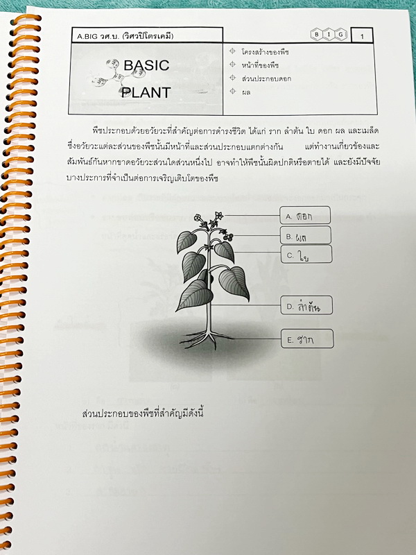 ►สสวท. ป.5◄ หนังสือเรียนพิเศษ อ.บิ๊ก ป.5 สสวท. เล่ม 1-4 มีสรุปเนื้อหาและโจทย์ Test ข้อสอบประจำบท จดครบเกือบทั้งเล่ม จดละเอียด มีบางหน้าเว้นว่างไปบ้างไม่ได้จด หนังสือใส่ปกสันเกลียว เปิดอ่านง่าย