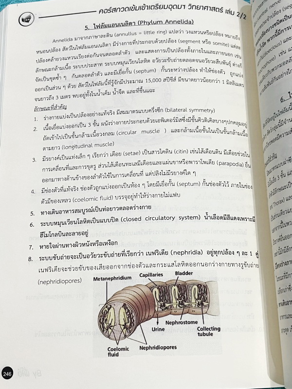 ►พี่โอ๋โอพลัส◄ หนังสือกวดวิชา O-plus กวดเข้มเข้าเตรียมอุดม ฉบับปรับปรุงใหม่ ครบเซ็ท 2 เล่ม + ไฟล์เฉลย ในหนังสือมีสรุปเนื้อหาวิชาวิทยาศาสตร์ระดับชั้น ม.ต้น ทั้งหมด ครบอคลุมเนื้อหาตั้งแต่ ม.1-2-3 เพื่อเตรียมตัวสอบเข้า ม.4 ร.ร.เตรียมอุดมศึกษา จดบางหน้า จดละเ