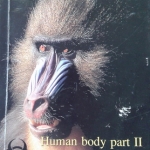 หนังสือ Biobeam : Basic Biology (OPD) Human Body Part 2
