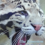 หนังสือ Biobeam ICU Course : The Ecosystem (พร้อมเฉลย)