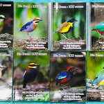 ►หมอพิชญ์ Biobeam◄ หนังสือกวดวิชาปี 2563 หนังสือเรียนชีววิทยา คอร์สไอซียู ครบเซ็ท 8 เล่ม ในหนังสือทั้งเซ็ทจดครบเกือบทั้งเล่ม จดละเอียดมาก จดด้วยดินสอและปากกาสีสันสวยงาม มีวาดรูปประกอบเนื้อหาหลายหน้า แบบฝึกหัดมีจดเฉลยครบเกือบทั้งหมด ยกเว้นเล่ม 8 ระบบนิเวศ