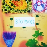 [ยูเรก้า] BIO 75012 อ.เอกฤทธิ์ ชีววิทยา ม.5 หลักสูตร A