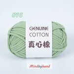 ไหมคอร์ฟิล (Core Fille) รหัสสี 816 Avocado Green