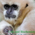 หนังสือ Biobeam ICU Course : Cell and Biochemisty (พร้อมเฉลย)