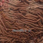 เชือกร่มสีพื้น 100 กรัม สี 37 สีน้ำตาล