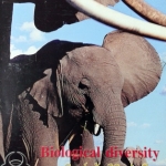 หนังสือ Biobeam ICU Course : Biological Diversity (พร้อมเฉลย)