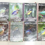 ►หมอพิชญ์ Biobeam◄ หนังสือเรียนชีววิทยา คอร์ส ICU ไอซียู ครบเซ็ท 8 เล่ม พร้อมไฟล์จดเนื้อหาครบทั้งเซ็ทแบบละเอียดมากครบทั้ง 8 เล่ม และไฟล์ชีทเสริม ในหนังสือจดครบเกือบทั้งเล่ม จดละเอียด มีวาดภาพประกอบเนื้อหาเยอะมาก แบบฝึกหัดประจำบทมีจดเฉลยบางข้อ เฉพาะเล่ม 8