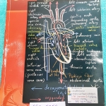 ►ยูเรก้า◄ BIO 5353 หนังสือกวดวิชาชีววิทยา ม.ปลาย อ.เอกฤทธิ์ รวมทุกบท ในหนังสือเน้นภาพสี กราฟ ตาราง และแผนภาพเกี่ยวกับวิชาชีววิทยาในระดับชั้น ม.ปลาย ส่วนใหญ่ใช้ภาษาอังกฤษ และภาษาละตินประกอบคำอธิบาย หนังสือเล่มหนาใหญ่ มีน้ำหนัก พิมพ์สีสวยงามทุกหน้า พิมพ์ด้ว