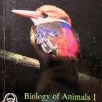 หนังสือ Biobeam : ชีววิทยา Basic Biology (OPD) Animals 1 หมอพิชญ์