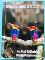 ►หมอพิชญ์ไบโอบีม◄ หนังสือกวดวิชา Fundamental Biology ชีววิทยา ม.ต้น Biobeam สรุปเนื้อหาทุกบทในวิชาวิทยาศาสตร์ชีววิทยาระดับชั้นมัธยมศึกษาตอนต้น เนื้อหายากลึกถึงสอบเข้า ม.4 ร.ร.ดัง จดครบเกือบทั้งเล่ม จดด้วยดินสอและปากกาสีสวยงาม มีวาดรูปประกอบเนื้อหาเพิ่มเติ